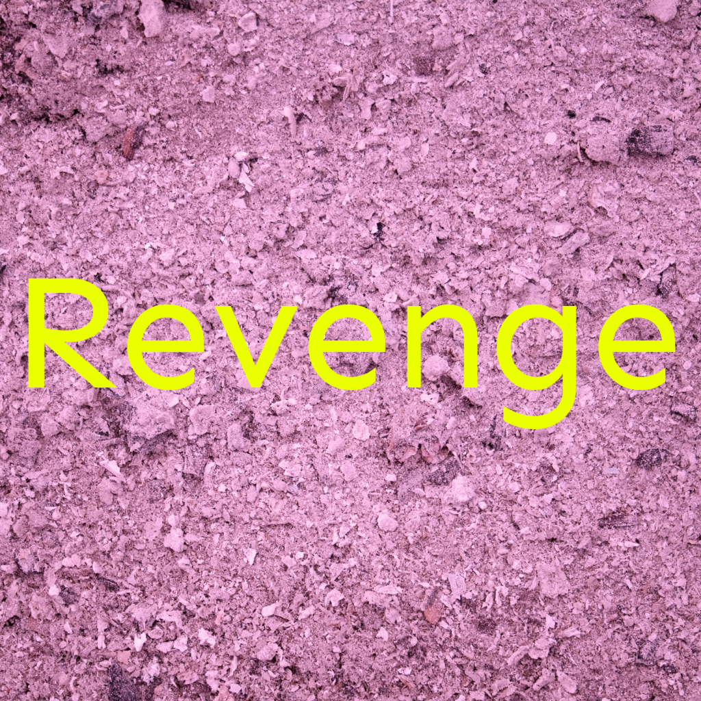 ALBUM-COVER
